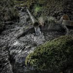 Thumbnail of related posts 104