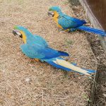 Thumbnail of related posts 123